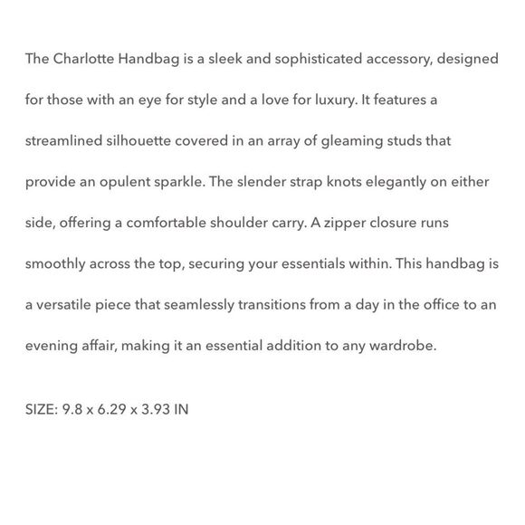 NATALIE MILLS NWT THE CHARLOTTE HANDBAG TAGS ATTACHED ZIPPER CLOSURE - Picture 3 of 7